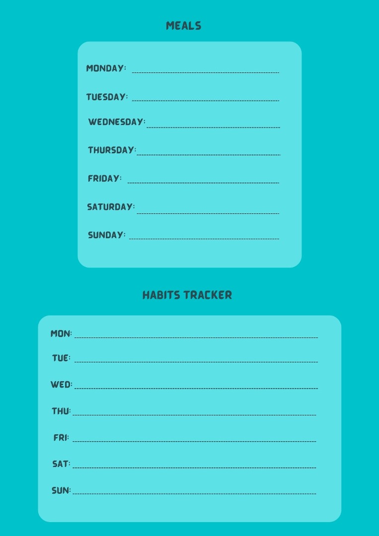 My Weeks Journal Ebook
My Weeks Journal Ebook